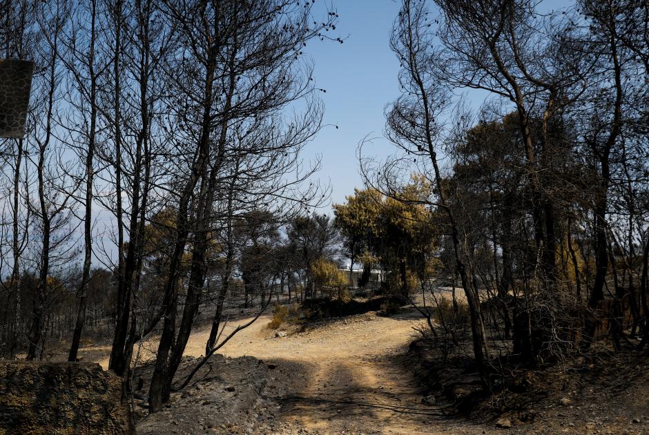 φωτιά γεράνεια όρη