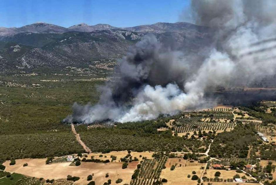 Φωτιά Μέγαρα 